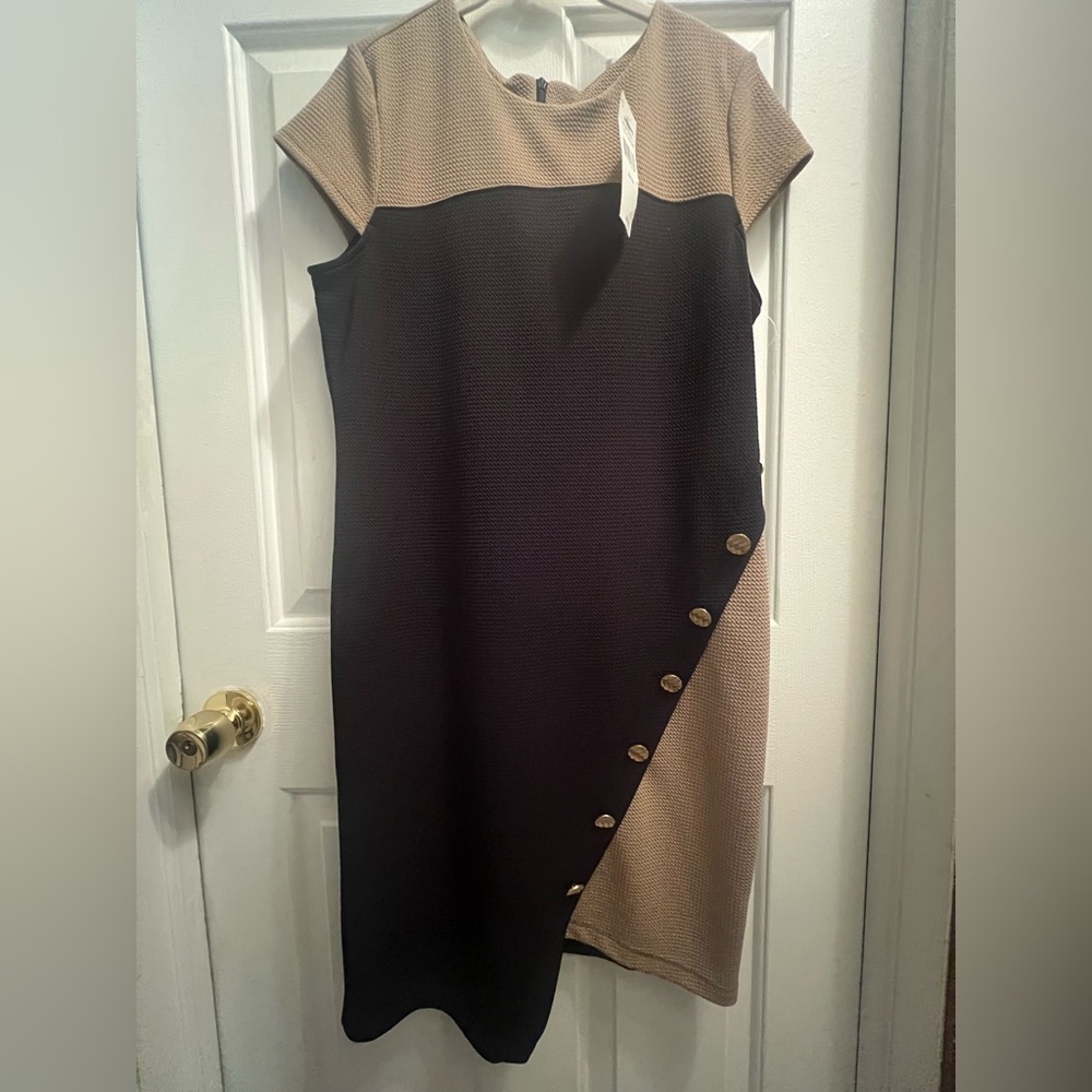 Elegant Black and Tan Dress